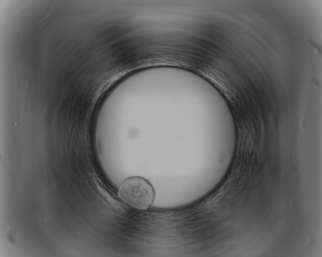 X0000097500302200802220848