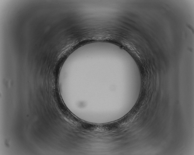 X0000097500303200802220848