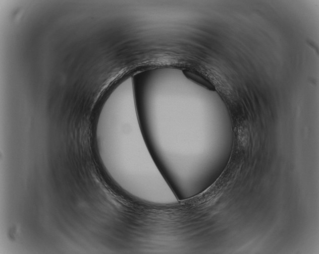 X0000097500304200802220848