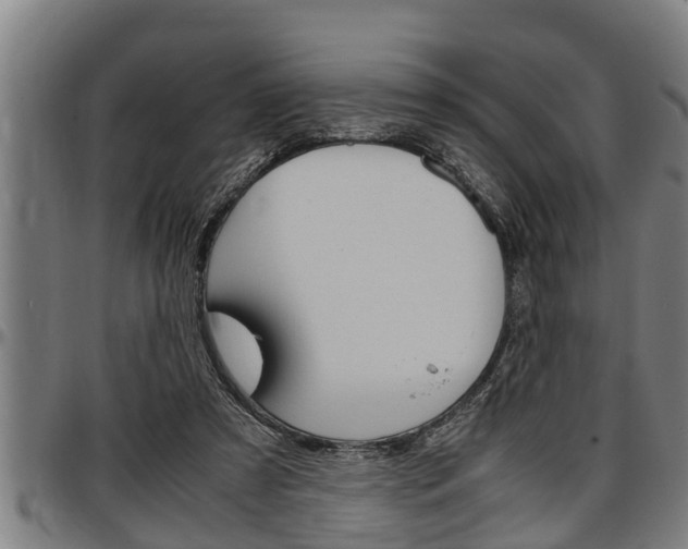 X0000097500305200802220848