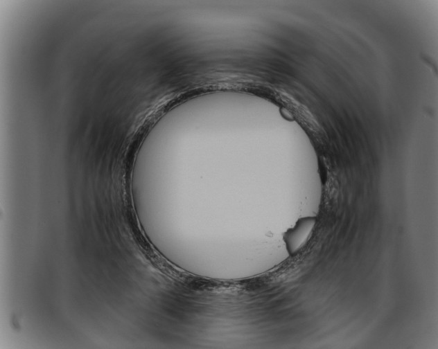 X0000097500306200802220848
