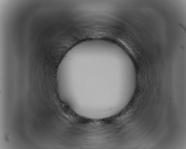 X0000097500307200802220848