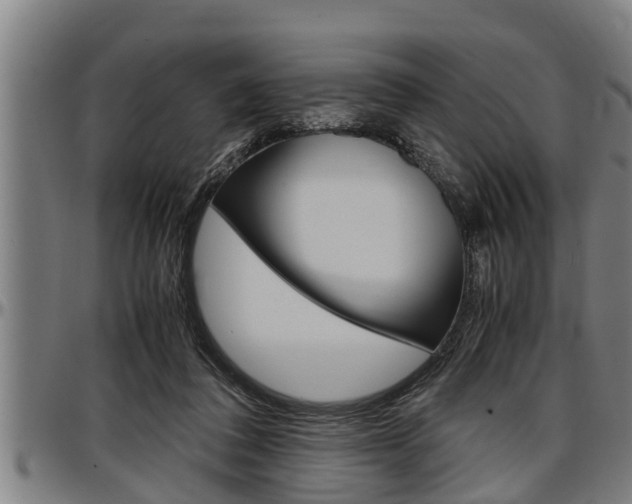X0000097500308200802220848