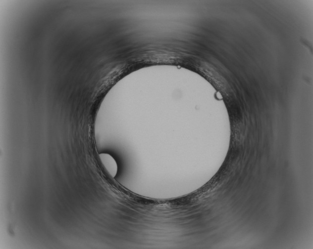 X0000097500309200802220848