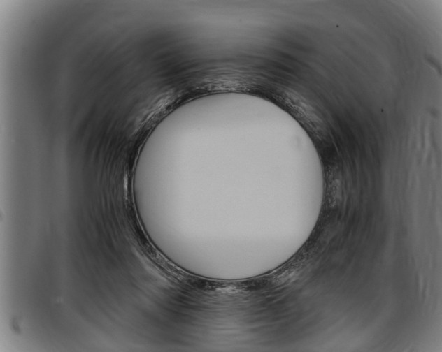X0000097500310200802220848