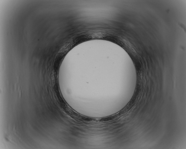 X0000097500311200802220848