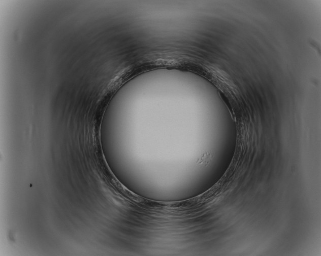 X0000097500312200802220848