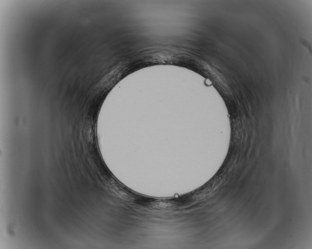 X0000097500313200802220848