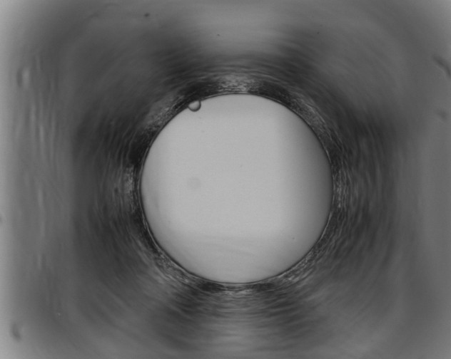 X0000097500314200802220848
