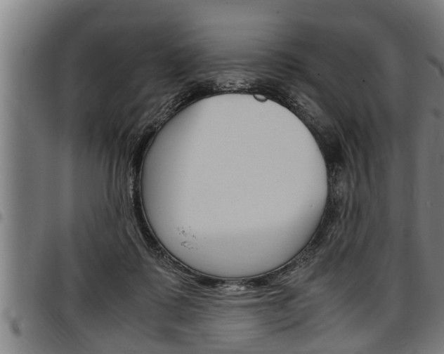 X0000097500315200802220848