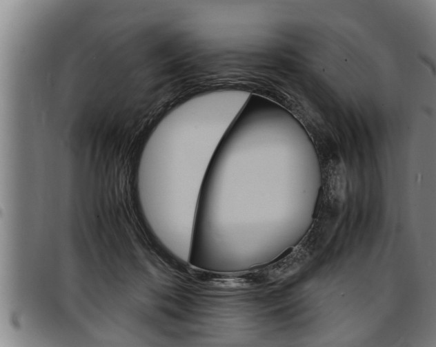 X0000097500316200802220848