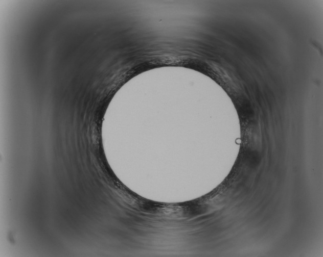 X0000097500317200802220848