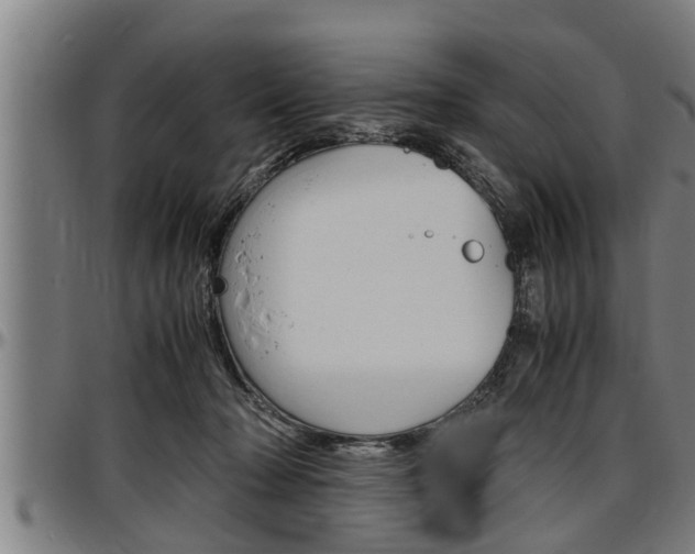 X0000097500318200802220848