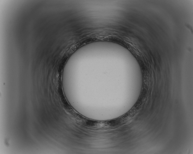 X0000097500319200802220848