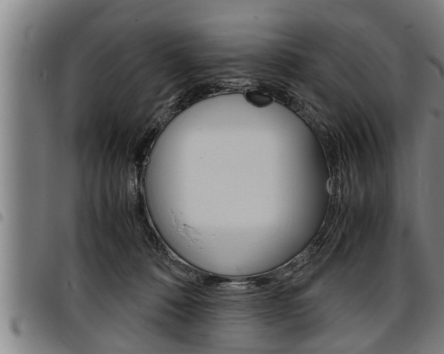 X0000097500320200802220848