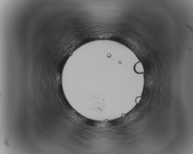 X0000097500321200802220848