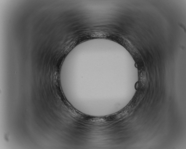 X0000097500322200802220848