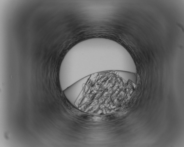 X0000097500323200802220848