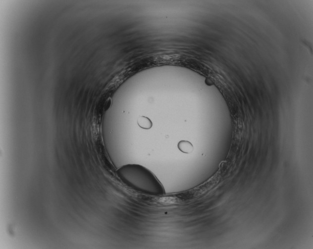 X0000097500324200802220848