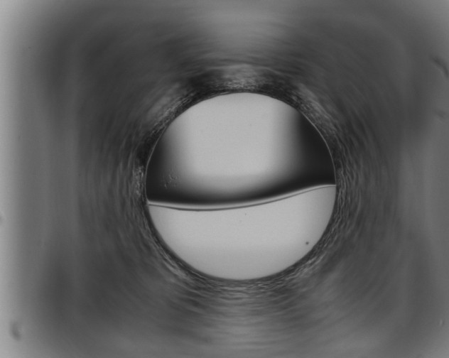 X0000097500325200802220848