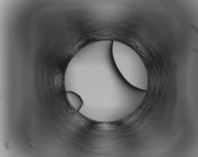 X0000097500326200802220848