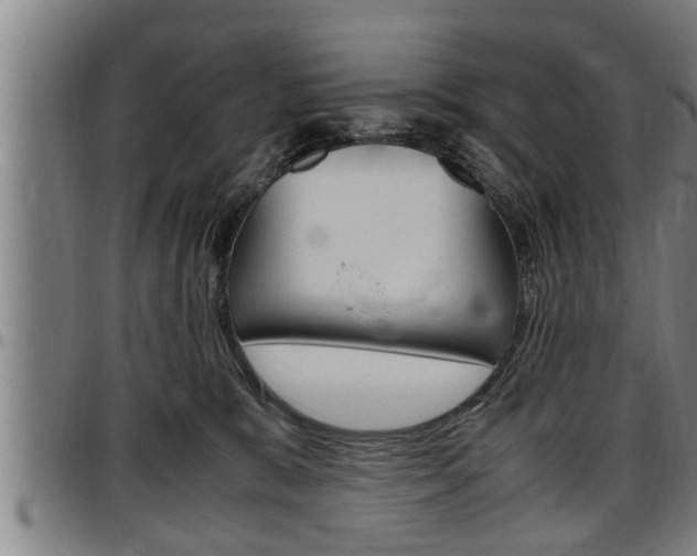 X0000097500327200802220848