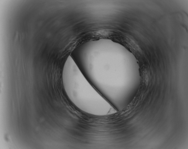 X0000097500328200802220848