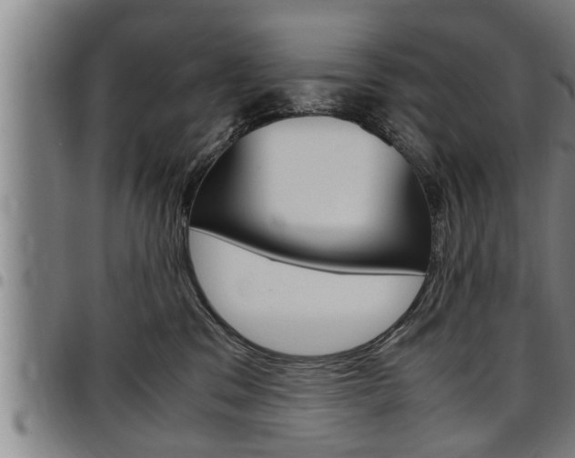 X0000097500329200802220848