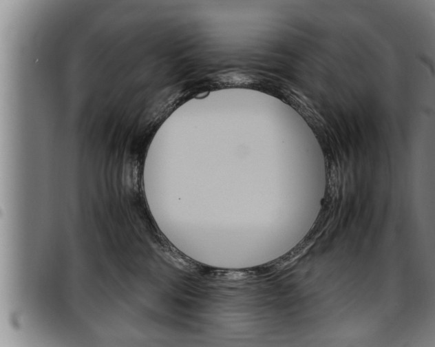 X0000097500330200802220848