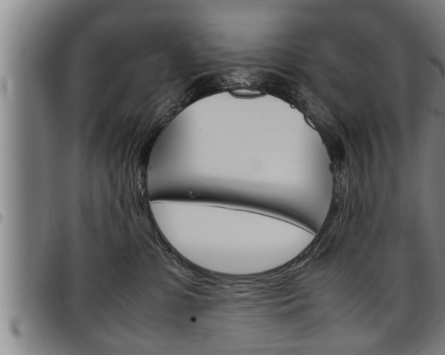 X0000097500331200802220848