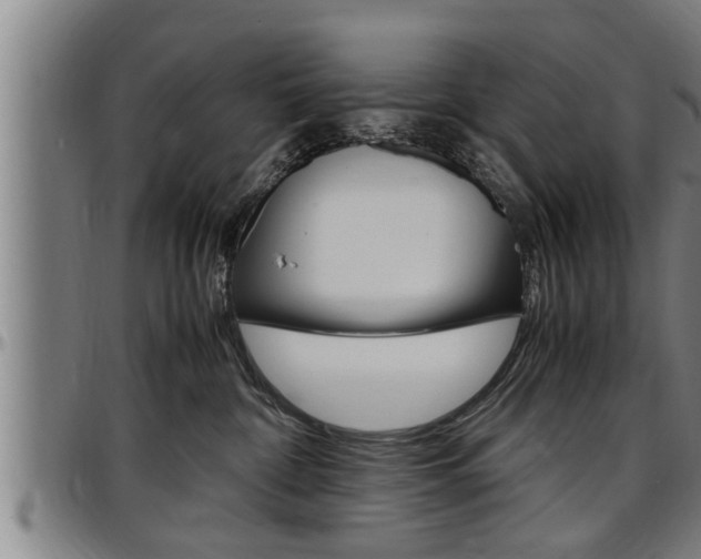 X0000097500332200802220848