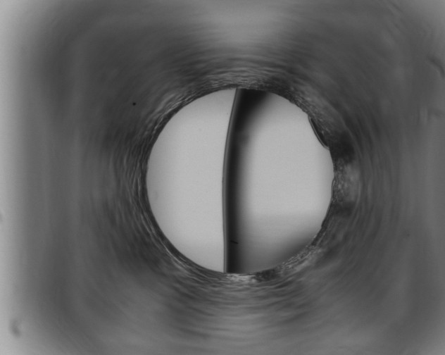X0000097500333200802220848