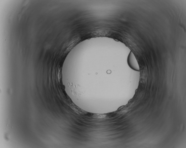 X0000097500334200802220848