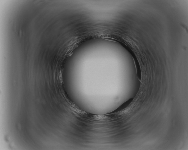 X0000097500336200802220848