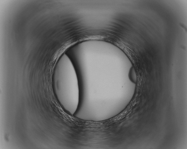 X0000097500337200802220847