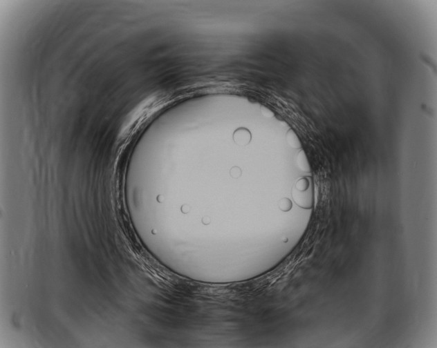 X0000097500339200802220847