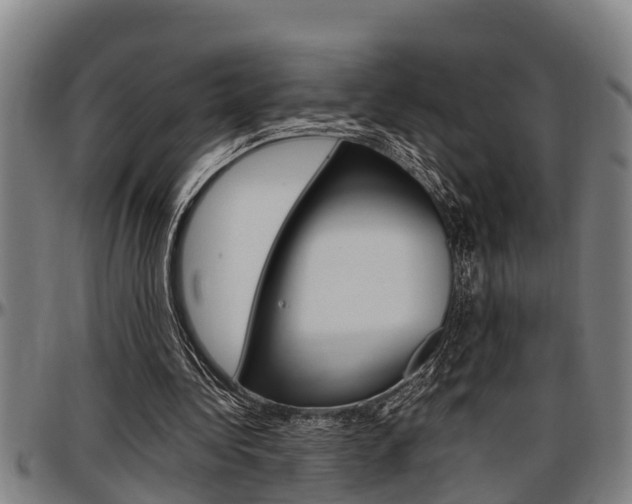 X0000097500340200802220847