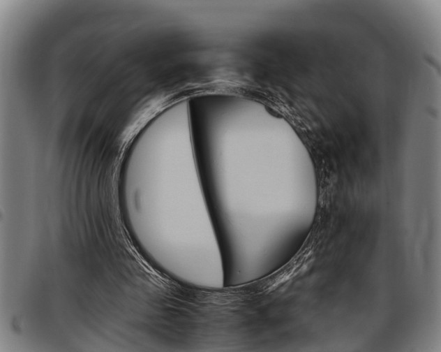 X0000097500341200802220847