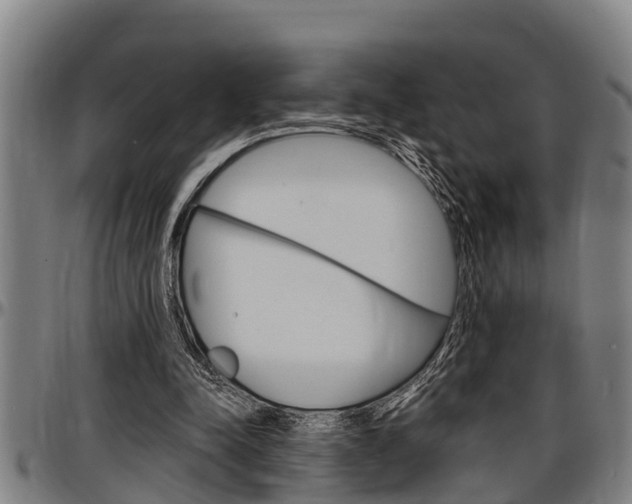 X0000097500342200802220847