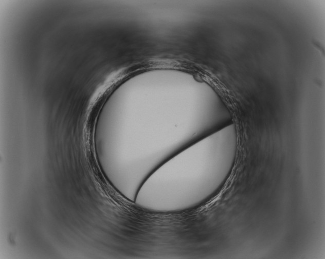 X0000097500343200802220847