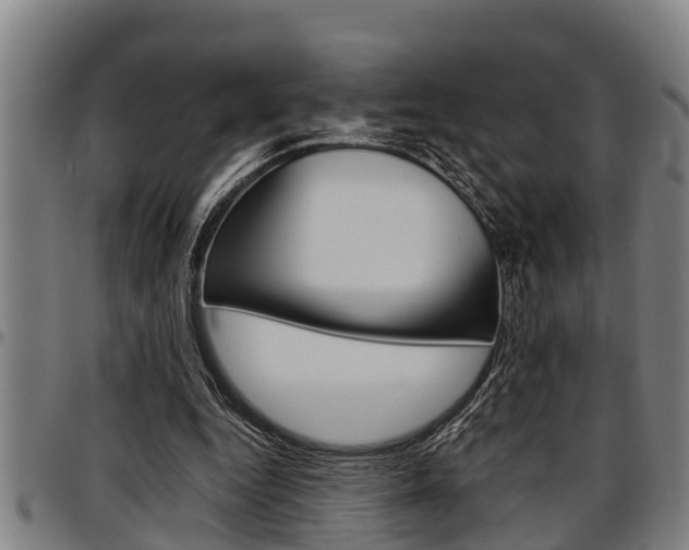 X0000097500344200802220847