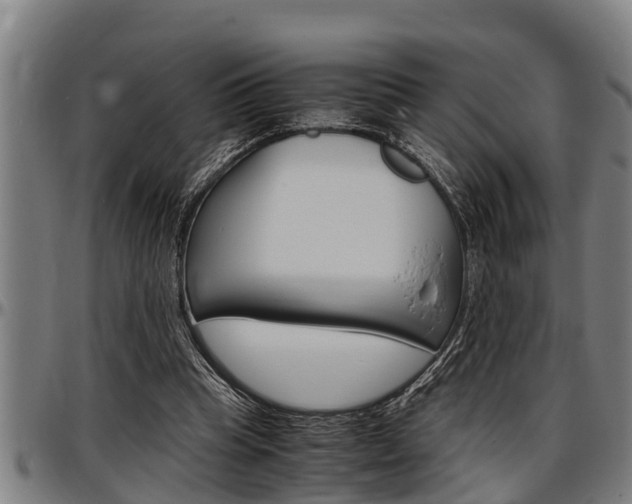 X0000097500345200802220847