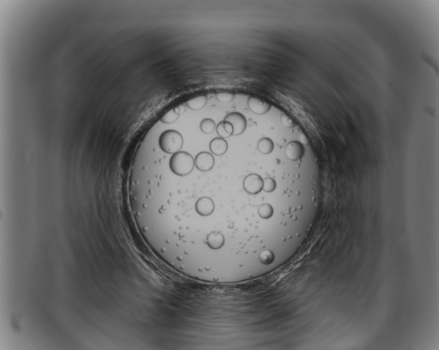 X0000097500346200802220847