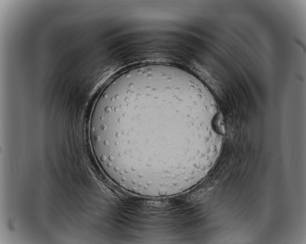 X0000097500347200802220847