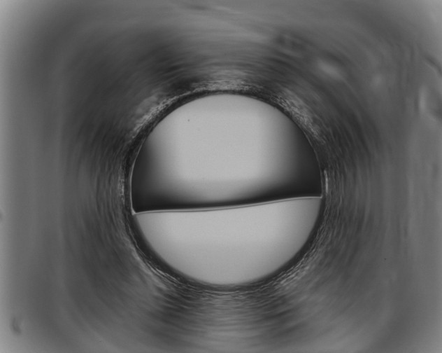 X0000097500348200802220847