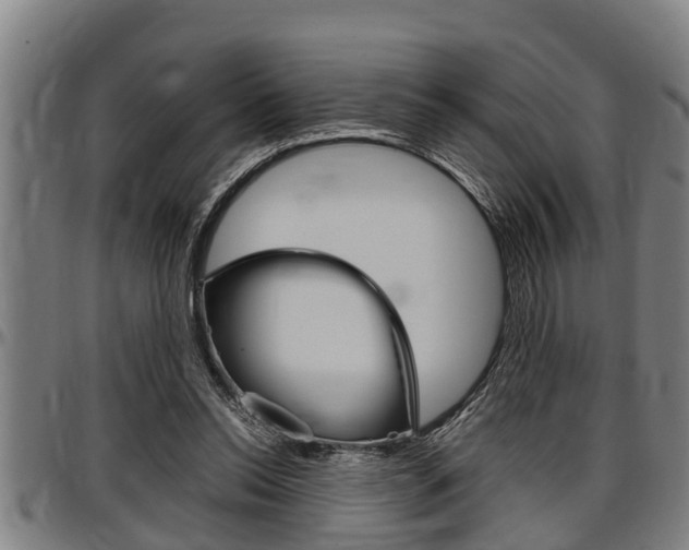 X0000097500350200802220847