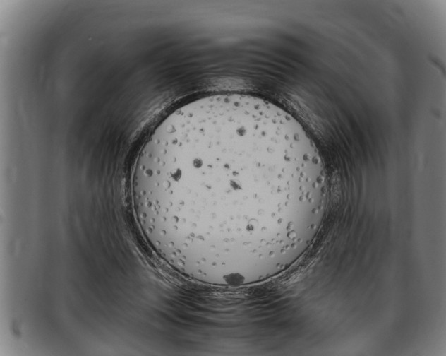 X0000097500351200802220847