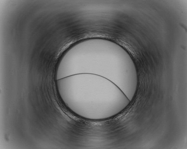 X0000097500352200802220847