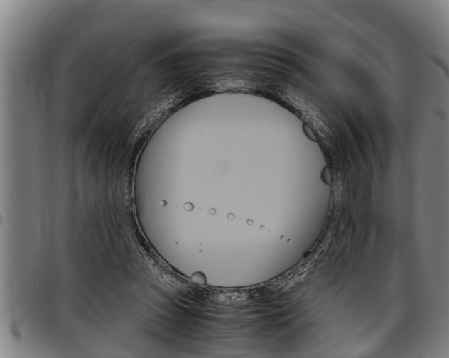 X0000097500353200802220847