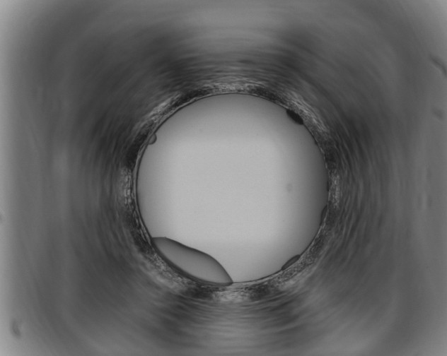 X0000097500356200802220847